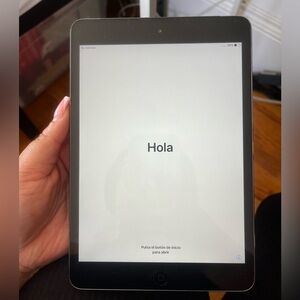 2013/2014 iPad mini in charcoal grey